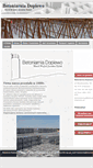 Mobile Screenshot of betoniarnia-dopiewo.pl